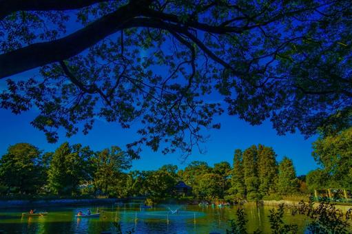 目黒区の池とボート 池,ボート,目黒区の写真素材