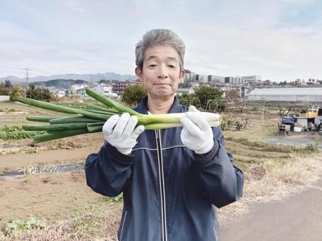 兼業農家のシニア男性 シニア,シニア男性,50代の写真素材