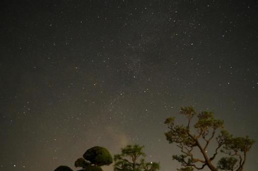 木と星 木と星の写真