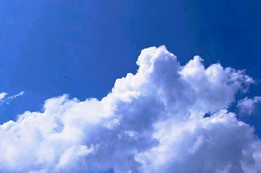 2025年7月の空14 2025年7月の空14の写真