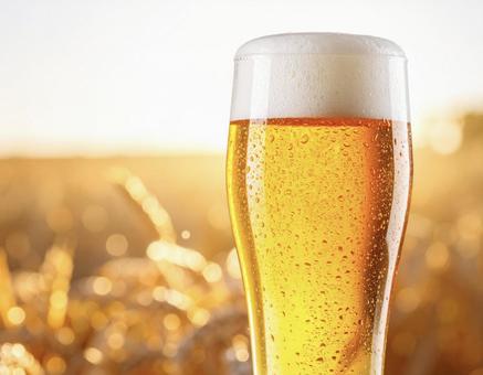 生ビールグラス シズル感 生ビールグラス シズル感の写真