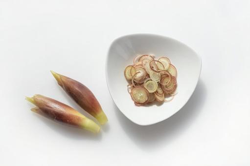 ミョウガ(薬味)3 ミョウガ(薬味)3 ミョウガ,芽,薬味の写真素材