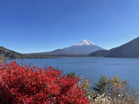 富士山と紅葉 富士山と紅葉 富士山,紅葉,秋の写真素材