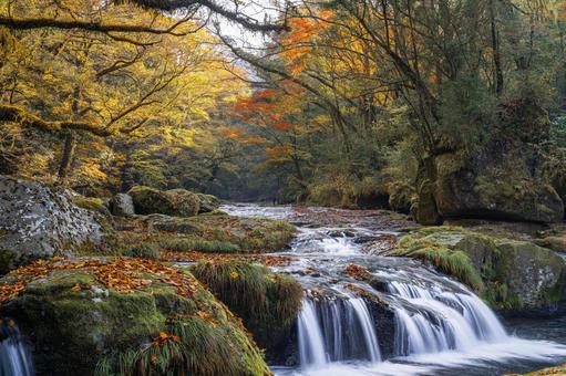 熊本-【菊池渓谷の紅葉】 熊本,菊池渓谷,川の写真素材