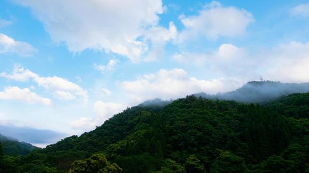 晴れ渡る空に広がる自由 晴れ渡る空に広がる自由の写真