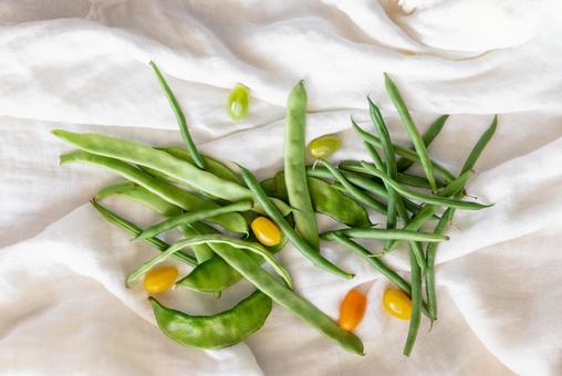 いんげんとサヤエンドウに混じったトマト いんげんとサヤエンドウに混じったトマト 野菜,ミニトマト,トマトの写真素材