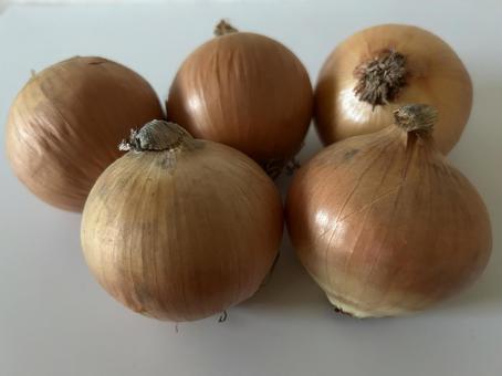玉ねぎ 玉ねぎの写真