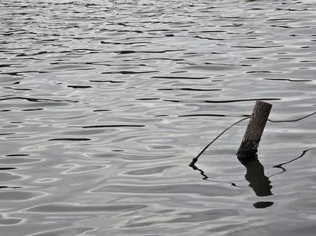 朽ちた杭 池,川,秋の写真素材