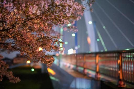 陸橋と夜桜 陸橋と夜桜の写真