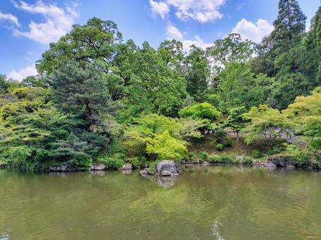成田山新勝寺 成田山公園の池の畔 成田山新勝寺 成田山公園の池の畔 成田山公園,成田山,新勝寺の写真素材