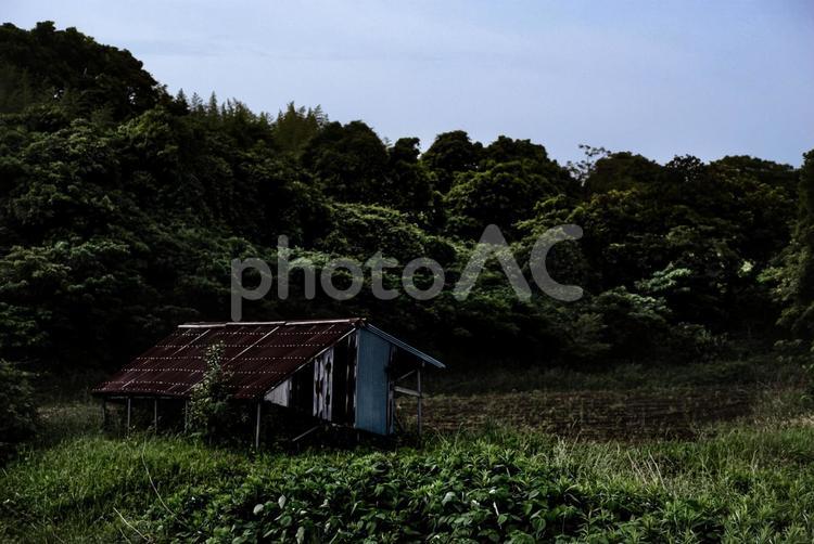 ＜五島の風景＞高田にある農家の小さな小屋 小屋,畑,農地の写真素材