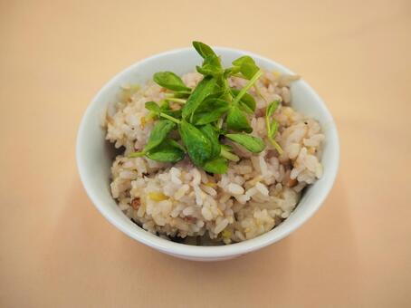 自家製・もやしたっぷりの炊き込みごはん もやしたっぷりの炊き込みごはん,自家製,もやしの写真素材