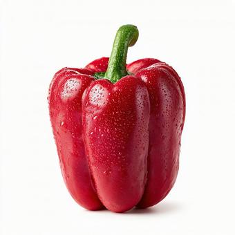 栄養豊富な赤い野菜、パプリカ 栄養豊富な赤い野菜、パプリカの写真