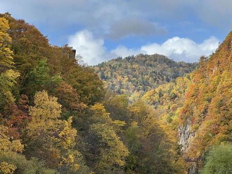 定山渓の紅葉 定山渓,紅葉,秋の写真素材