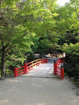 厳島神社 厳島神社 厳島神社,広島,観光名所の写真素材