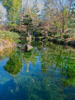 雪吊りのある日本庭園と池の静かな風景 日本庭園,庭園,池の写真素材