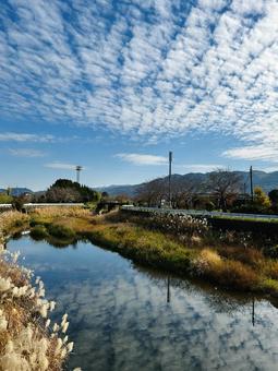 川に映るうろこ雲 河川,雲,川の写真素材