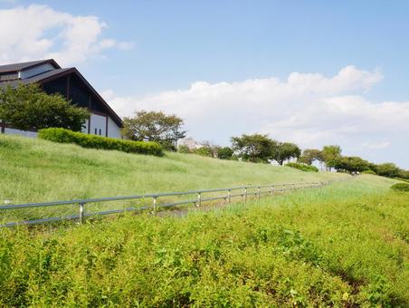 南千住 汐入公園の風景 南千住 汐入公園の風景 南千住,荒川区,東京の写真素材