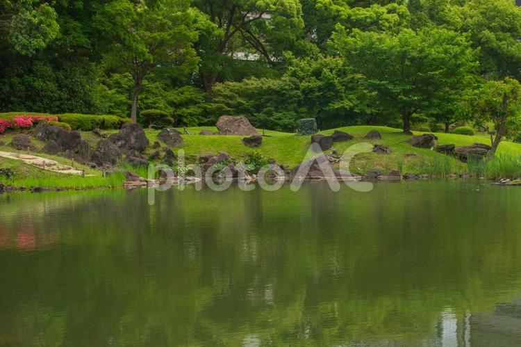 旧芝離宮恩賜庭園の風景 旧芝離宮恩賜庭園,滝石組,大泉水の写真素材