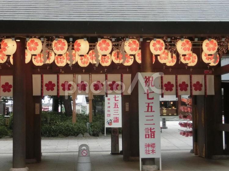 櫻木神社の風景-32 櫻木神社の風景-32 木神社,千葉県野田市,境内の写真素材