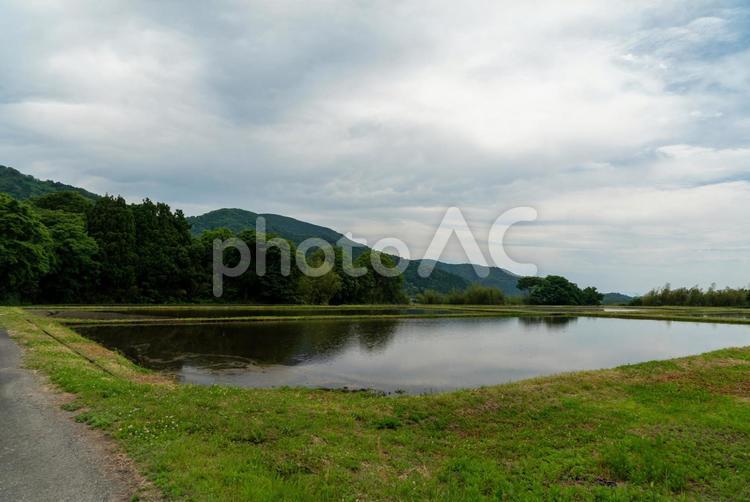 滋賀県の山間の田園風景 田園風景,水田,山間の写真素材