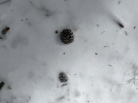 冬の日 冬の日の写真