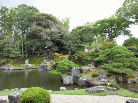 京都府-醍醐寺-三宝院-庭園 京都府-醍醐寺-三宝院-庭園の写真