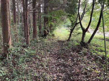 史跡　出雲国山陰道跡 史跡,出雲国山陰道跡,出雲の写真素材