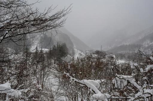 谷川岳への道のり 谷川岳への道のり 雪景色,銀世界,snowの写真素材