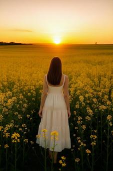 夕暮れの花畑を歩く女性 夕暮れの花畑を歩く女性の写真