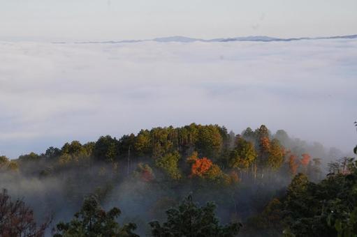 秋の雲海 雲海,霧,紅葉の写真素材