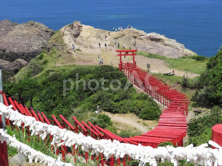 元隅稲荷神社 海,青,緑の写真素材