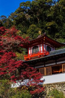 紅葉風景 紅葉風景,紅葉,箕面の写真素材