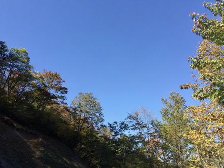 広大な空と緑濃い山の斜面 広大な空と緑濃い山の斜面 青空,空,秋の写真素材