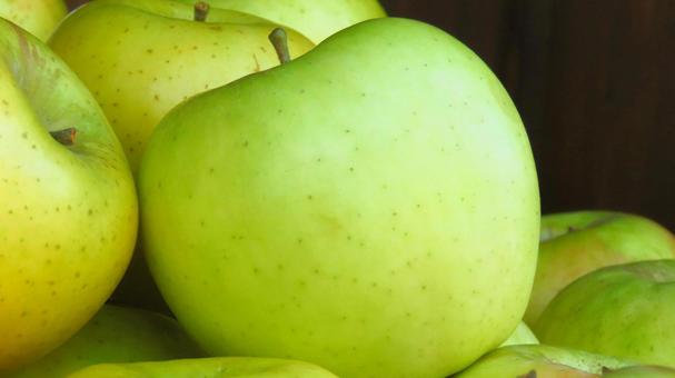 りんご りんご,アップル,フルーツの写真素材