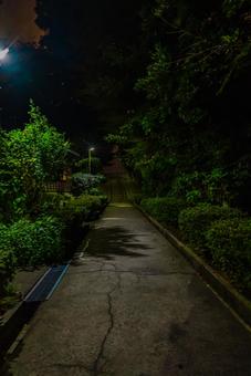 【石川】夜のひがし茶屋街近くのお寺 【石川】夜のひがし茶屋街近くのお寺 ひがし茶屋街,石川,金沢の写真素材