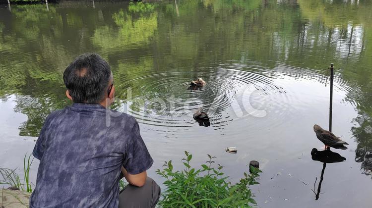ぼーっとするおじさん 97 おじさん,男性,後ろ姿の写真素材