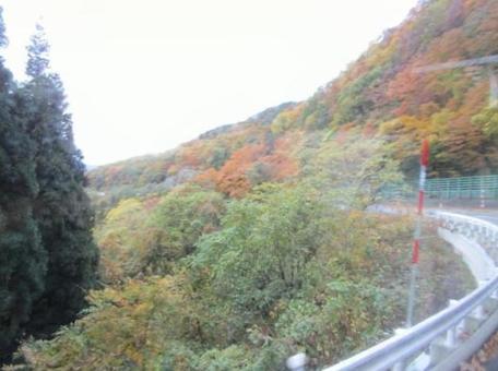 曲がりみちの写真