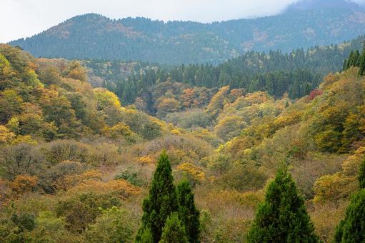 色彩豊かな日本の秋の山々 紅葉,秋,山の写真素材