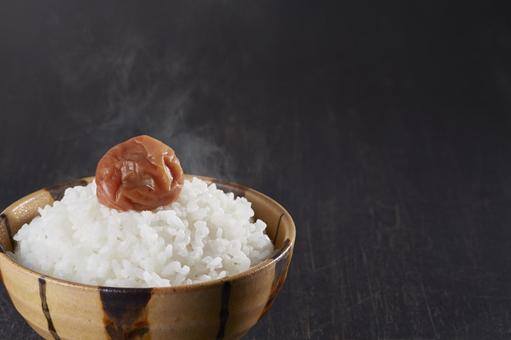 白ごはんと梅干し 白ごはんと梅干しの写真