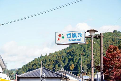 紅葉名所香嵐渓の看板 香嵐渓,もみじ,紅葉の写真素材