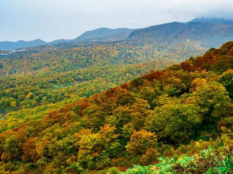 紅葉の栗駒山（須川岳） 栗駒山,須川岳,神の絨毯の写真素材