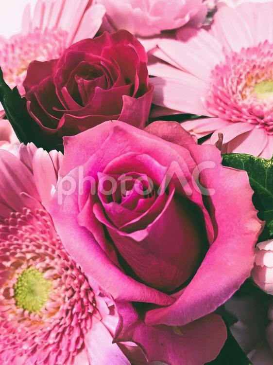 春のピンク系の花（ローズ）３２ バラ,ローズ,アレンジメントの写真素材