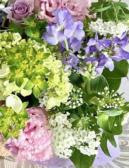 可愛い花 可愛い花の写真