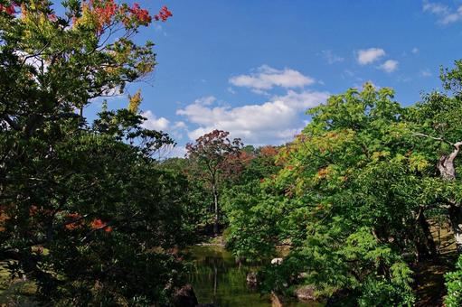 秋の始まりの写真