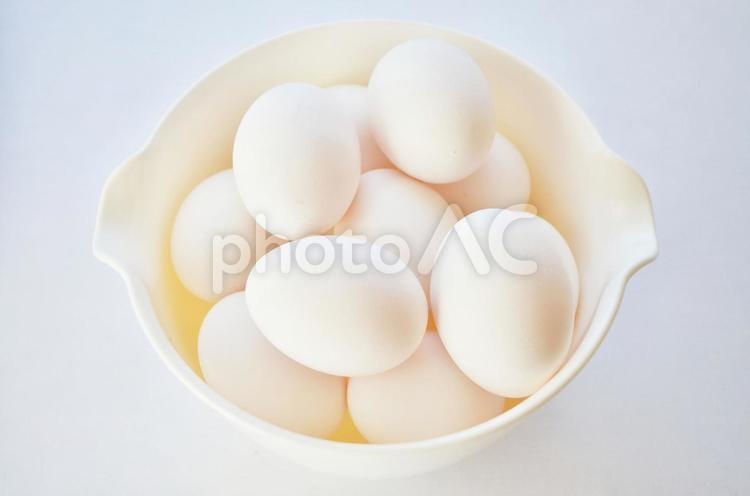 ボウルに並んだ卵 卵,タマゴ,玉子の写真素材