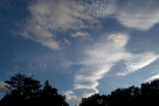 様々な形の雲が広がる夕暮れの空の写真