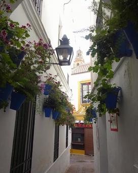 スペインのおしゃれな小道 スペイン,小道,街並みの写真素材