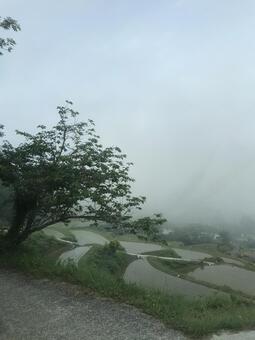 たんぼ たんぼの写真