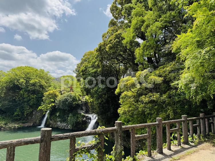 滝と青もみじ 滝,青もみじ,初夏の写真素材